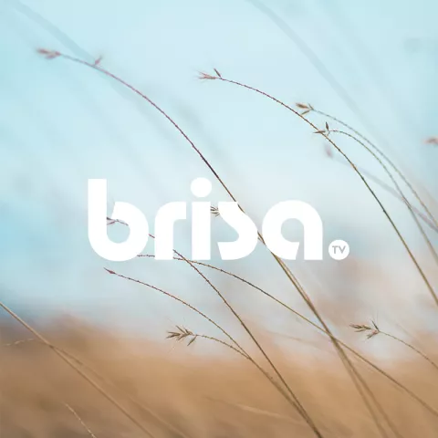 Perfil brisa tv