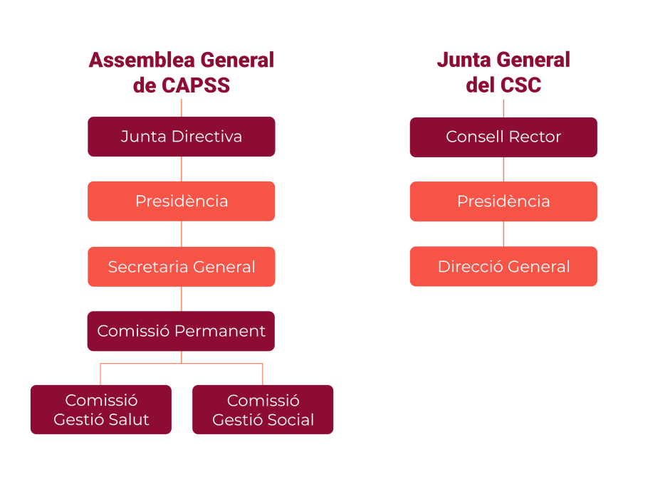 Organigrama1