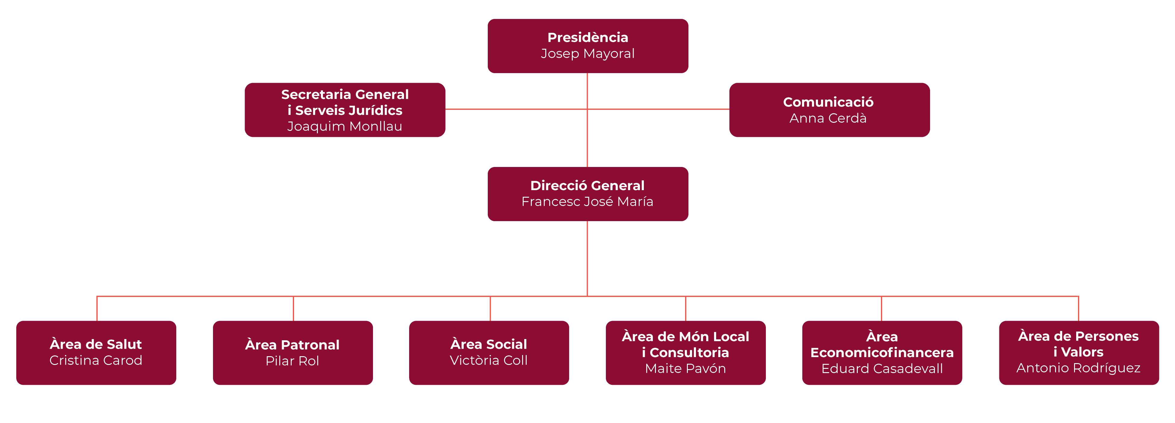 Organigrama del Comitè de Direcció del CSC. Presidència: Josep Mayoral. Direcció General: Francesc José María. Relacionades amb Presidència i Direcció General: Secretaria General i Serveis Jurídics (Joaquim Monllau) i Comunicació (Anna Cerdà). De la Direcció General depenen les àrees de Salut, Patronal, Social, Món Local i Consultoria, Economicofinancera i Persones i Valors.