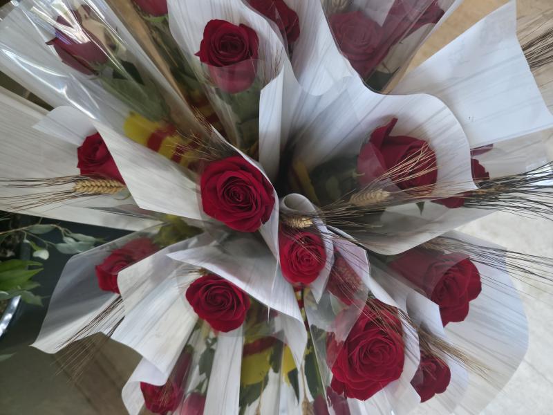 Roses de Sant Jordi