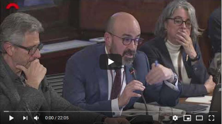 comissio-parlament-2-1574858235.PNG