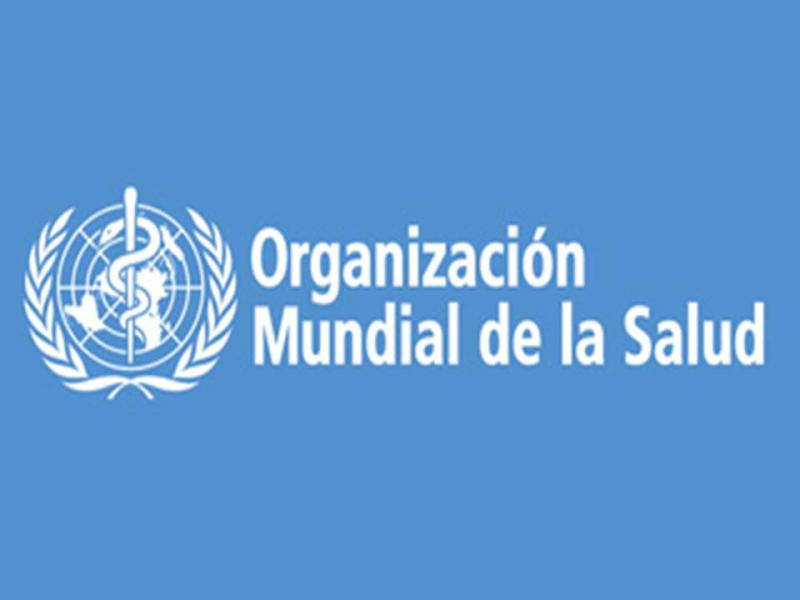 experts-de-l2019oms-analitzen-els-sistemes-de-salut-europeus-al-csc.jpg