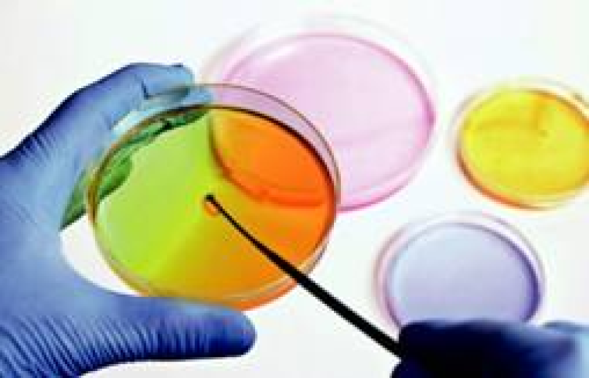 les-arees-de-microbiologia-i-bioquimica-de-l2019-lrc-acreditades-segons-la-norma-iso-15189-1.jpg