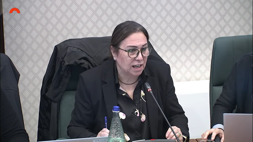 vickyparlament-1741105933.png