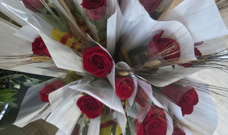 Roses de Sant Jordi