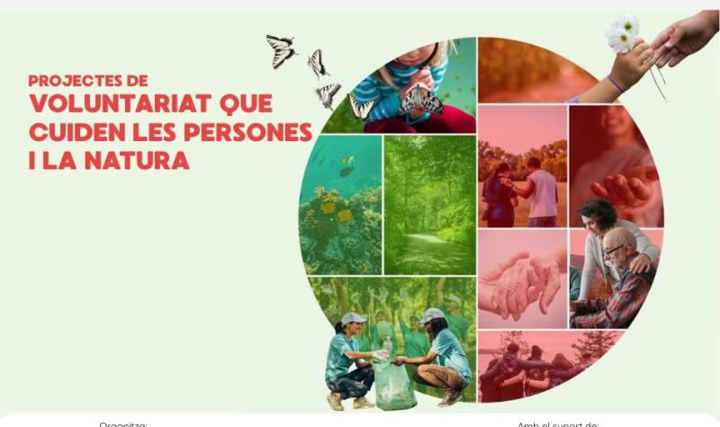 Cartell Premi Lluis Martí 2026