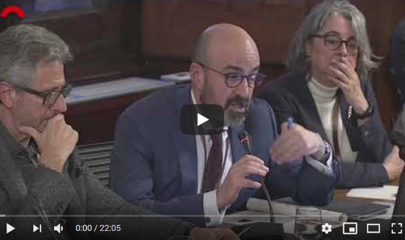 comissio-parlament-2-1574858235.PNG
