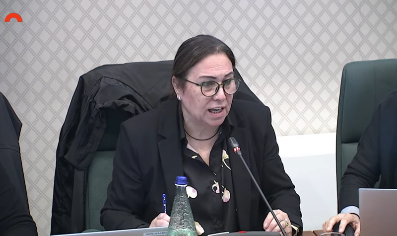 vickyparlament-1741105933.png