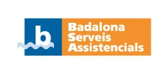 Logo BSA