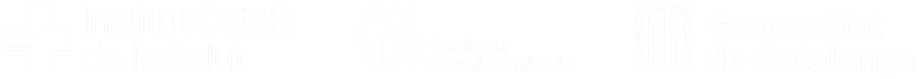 Logo icss
