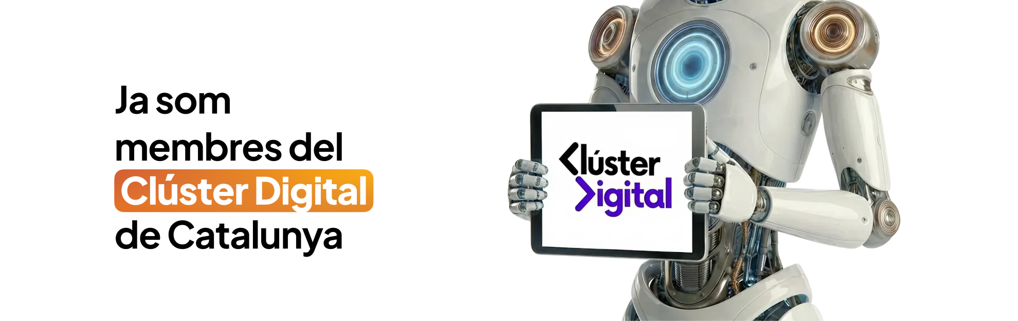 Clúster digital